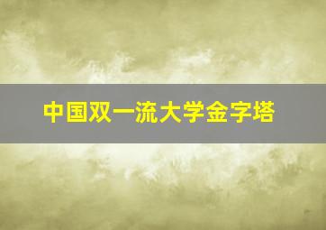 中国双一流大学金字塔