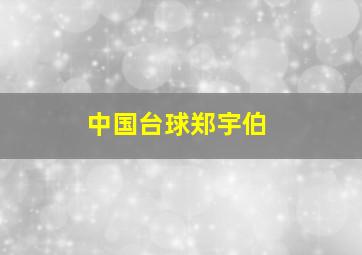 中国台球郑宇伯