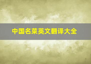 中国名菜英文翻译大全