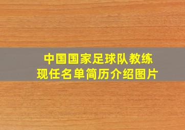 中国国家足球队教练现任名单简历介绍图片