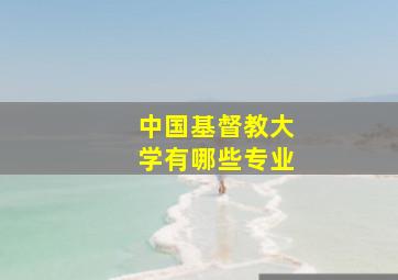 中国基督教大学有哪些专业