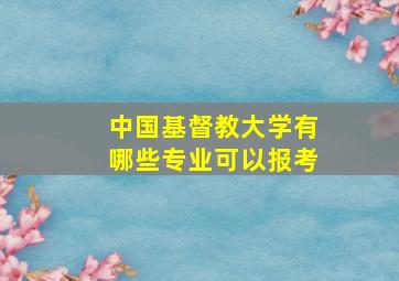 中国基督教大学有哪些专业可以报考