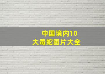 中国境内10大毒蛇图片大全