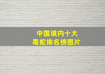 中国境内十大毒蛇排名榜图片