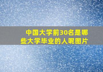 中国大学前30名是哪些大学毕业的人呢图片