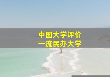 中国大学评价一流民办大学