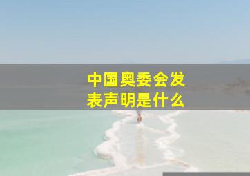 中国奥委会发表声明是什么