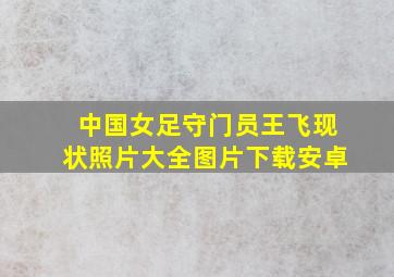 中国女足守门员王飞现状照片大全图片下载安卓