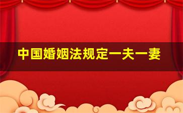 中国婚姻法规定一夫一妻