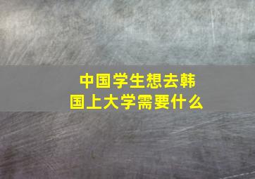 中国学生想去韩国上大学需要什么