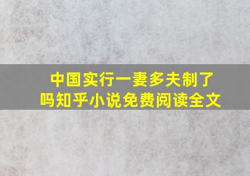 中国实行一妻多夫制了吗知乎小说免费阅读全文