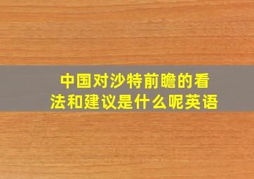 中国对沙特前瞻的看法和建议是什么呢英语