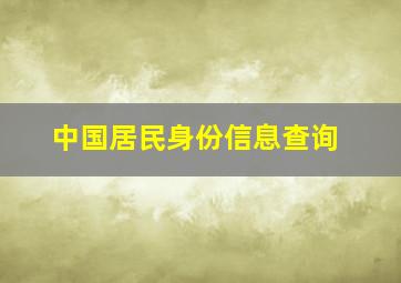 中国居民身份信息查询