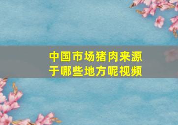 中国市场猪肉来源于哪些地方呢视频