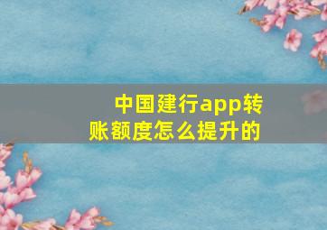 中国建行app转账额度怎么提升的