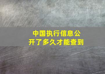 中国执行信息公开了多久才能查到