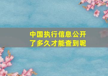 中国执行信息公开了多久才能查到呢