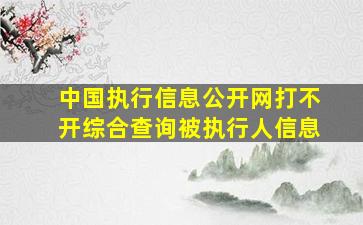 中国执行信息公开网打不开综合查询被执行人信息