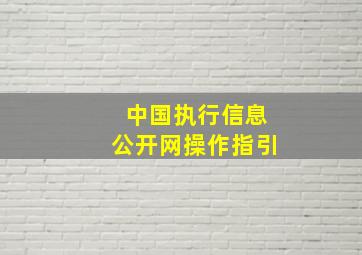 中国执行信息公开网操作指引