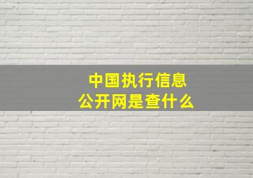 中国执行信息公开网是查什么