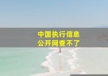 中国执行信息公开网查不了