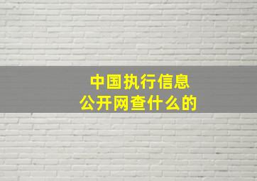 中国执行信息公开网查什么的