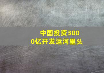 中国投资3000亿开发运河里头