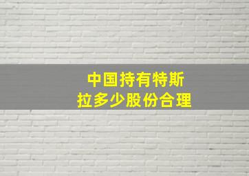 中国持有特斯拉多少股份合理