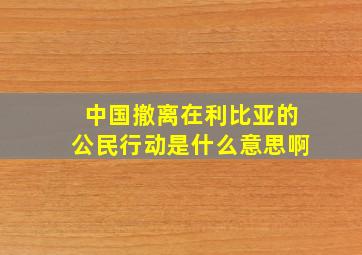 中国撤离在利比亚的公民行动是什么意思啊