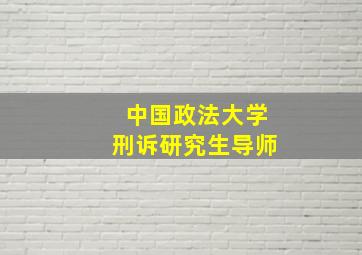 中国政法大学刑诉研究生导师