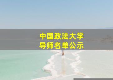 中国政法大学导师名单公示