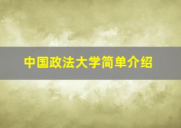 中国政法大学简单介绍