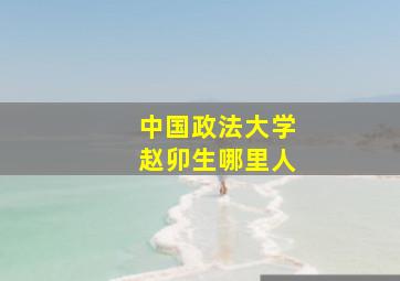 中国政法大学赵卯生哪里人