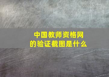 中国教师资格网的验证截图是什么