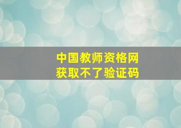 中国教师资格网获取不了验证码