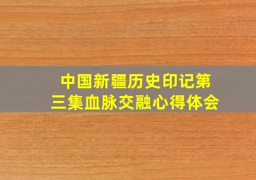 中国新疆历史印记第三集血脉交融心得体会