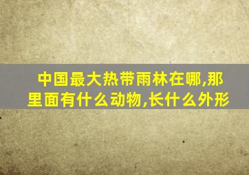 中国最大热带雨林在哪,那里面有什么动物,长什么外形