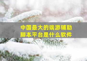 中国最大的端游辅助脚本平台是什么软件