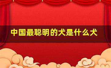 中国最聪明的犬是什么犬