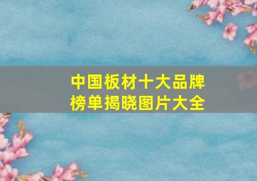 中国板材十大品牌榜单揭晓图片大全