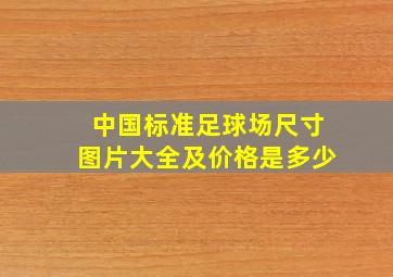 中国标准足球场尺寸图片大全及价格是多少