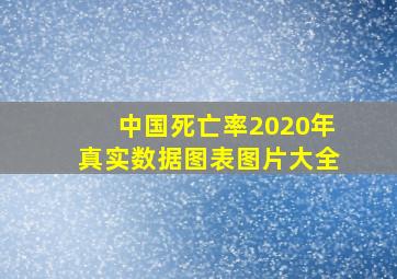 中国死亡率2020年真实数据图表图片大全