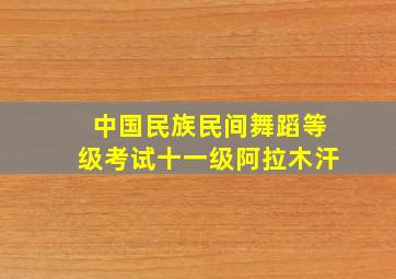 中国民族民间舞蹈等级考试十一级阿拉木汗