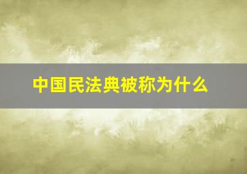 中国民法典被称为什么