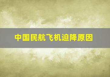 中国民航飞机迫降原因