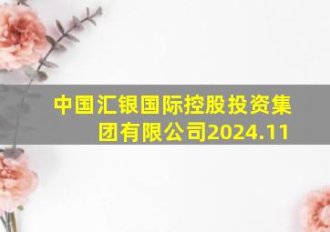 中国汇银国际控股投资集团有限公司2024.11