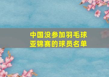 中国没参加羽毛球亚锦赛的球员名单