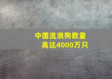 中国流浪狗数量高达4000万只