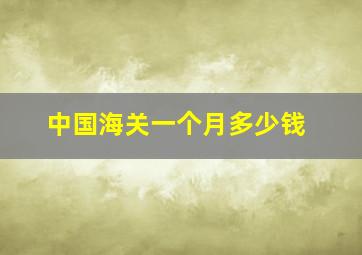 中国海关一个月多少钱