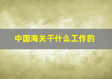 中国海关干什么工作的